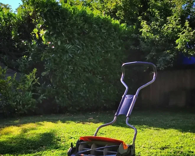 clean lawn service columbus ga