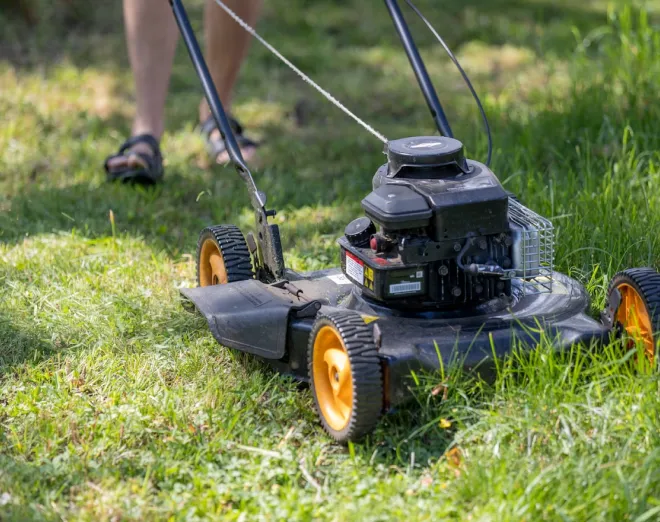 lawn care clean columbus ga